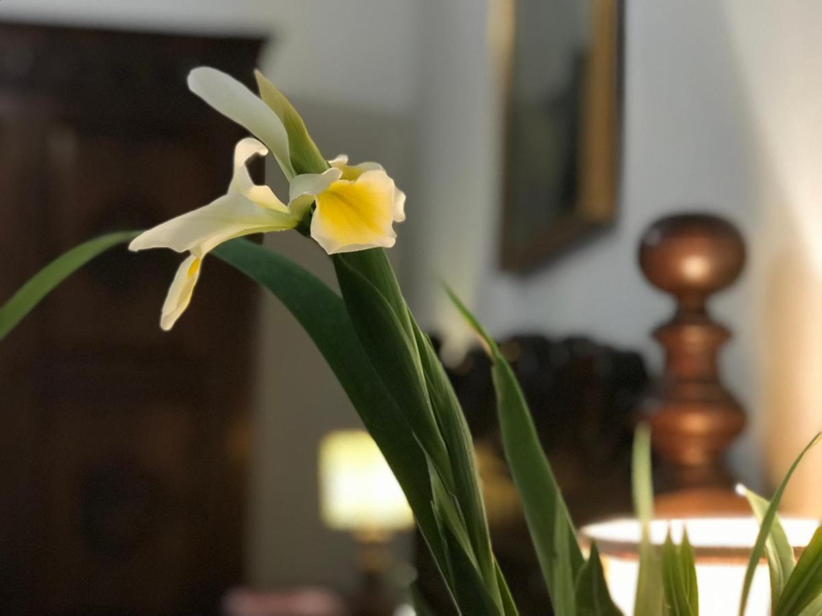 Appartamento Stibbert Floransa Dış mekan fotoğraf