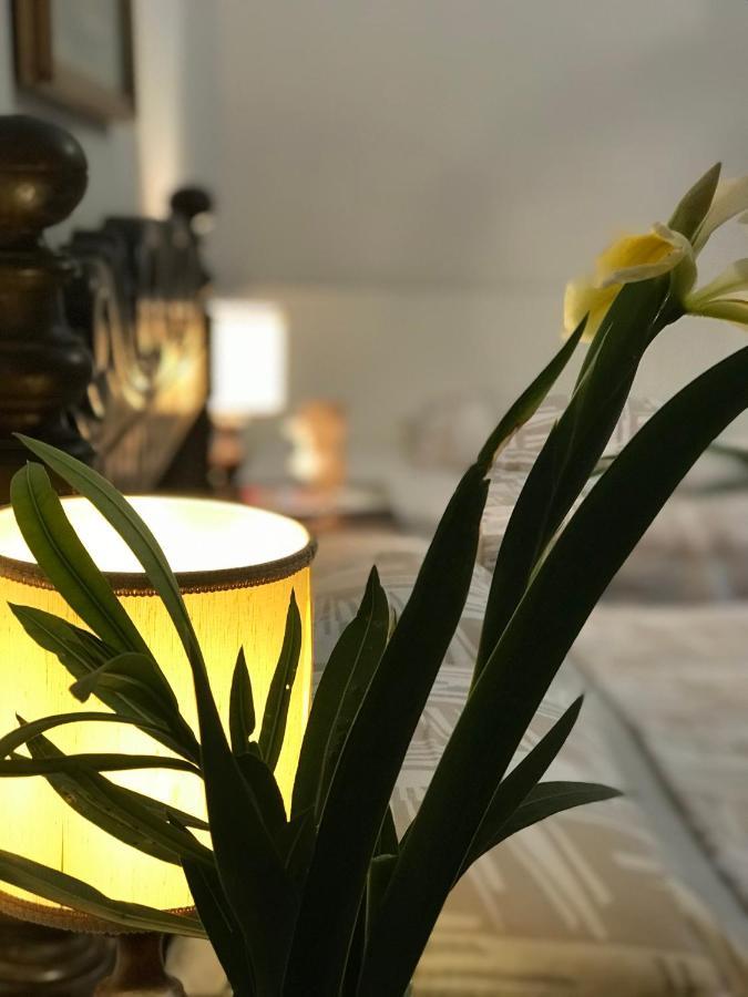 Appartamento Stibbert Floransa Dış mekan fotoğraf
